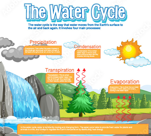 The water cycle diagram for science education