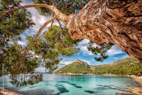 Shoreline along Cala Formentor.