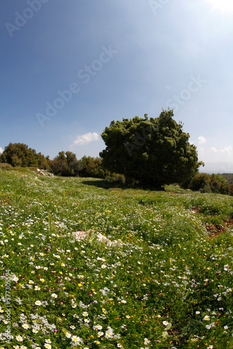 Wallpaper Mural The hills at coast Torontodigital.ca