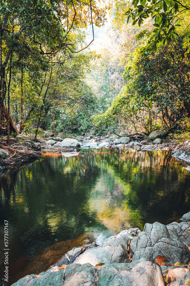 Creek or stream flowing water with rocks in forest Creek or stream flowing water with rocks in forest