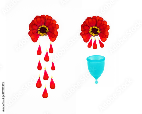 red flowers delicately demonstrate the period of female menstruation for woman s personal hygiene products. red petals fall like drops of blood into a blue menstrual cup