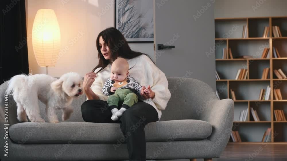 On the sofa. Woman with her toddler and cute white dog is indoors at home. On the sofa. Woman with her toddler and cute white dog is indoors at home.