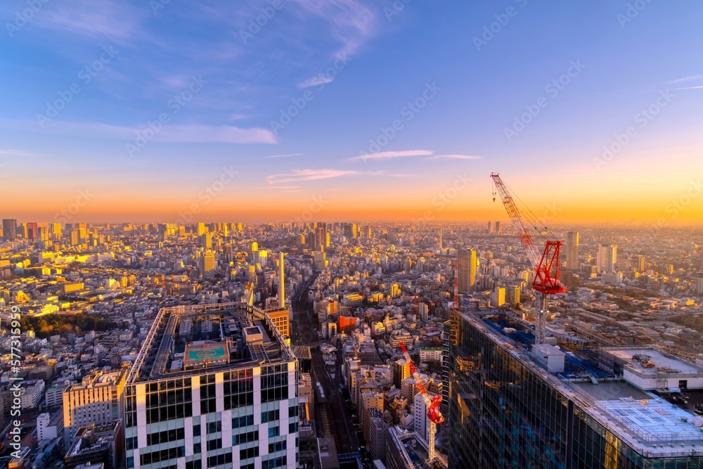 Obraz premium 東京 大都会の夕景 