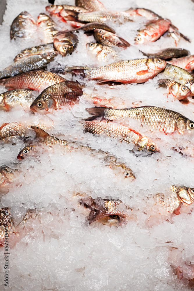 close-up fresh crucian fish sprinkled with ice on the counter. sale close-up fresh crucian fish sprinkled with ice on the counter. sale