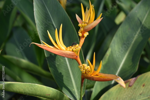 Photography Perdana Botanical Garden, Kuala Lumpur, Malaysia