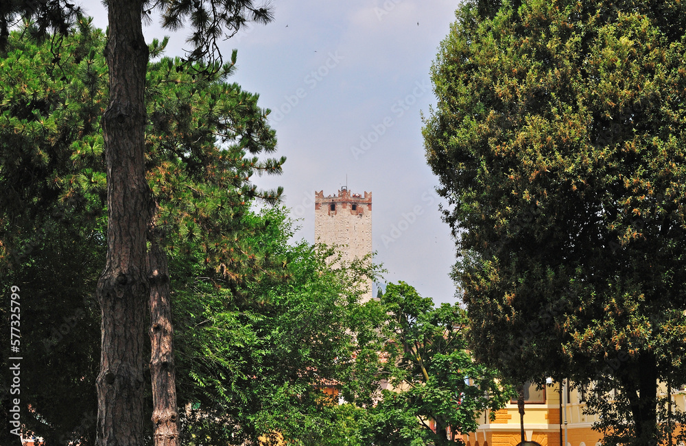 View of Old Italian Castle Tower between Trees 