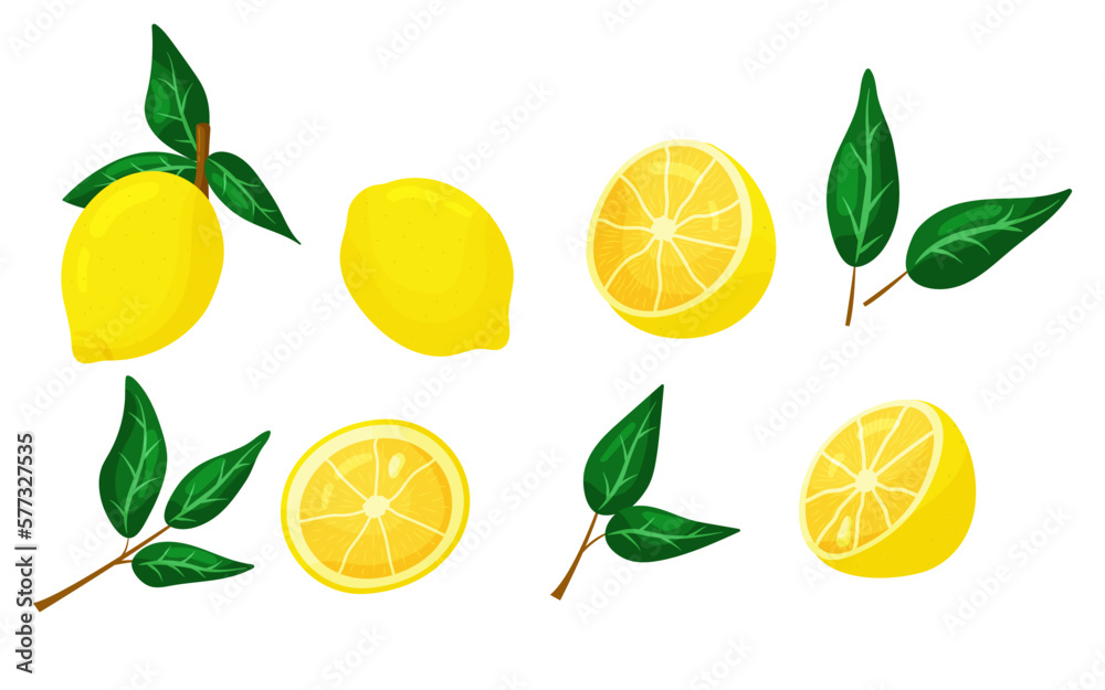 Vector lemon set isolated on white background. Cartoon summer fruit ...