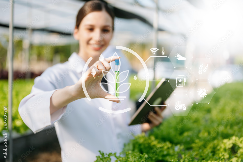 Researcher in white uniform are checking with ph strips in hydroponic farm and pH level scale graphic, science laboratory greenhouse concept. .. Researcher in white uniform are checking with ph strips in hydroponic farm and pH level scale graphic, science laboratory greenhouse concept. ..