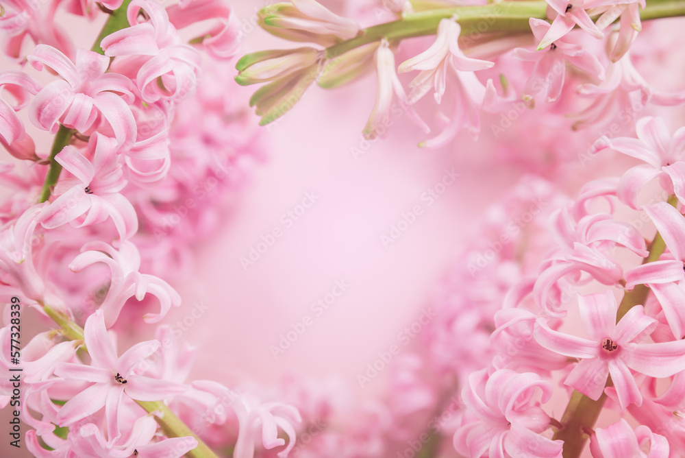 Fototapeta premium 8 March greeting card. mother's day, International Women's Day congratulate Holiday background celebration concept. Pink hyacinth bouquet. flowers frame on pink background with space for text