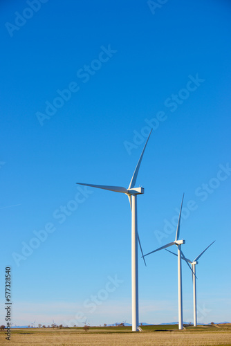 Wind turbine generators for sustainable electricity production
