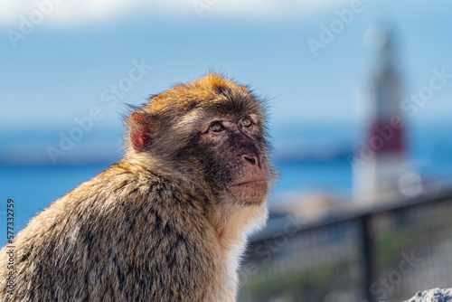 Money in front of the lighthouse in Gibraltar