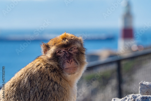 Money in front of the lighthouse in Gibraltar