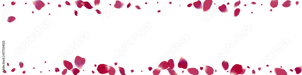 Pink Rose Fall Vector White Panoramic Background.