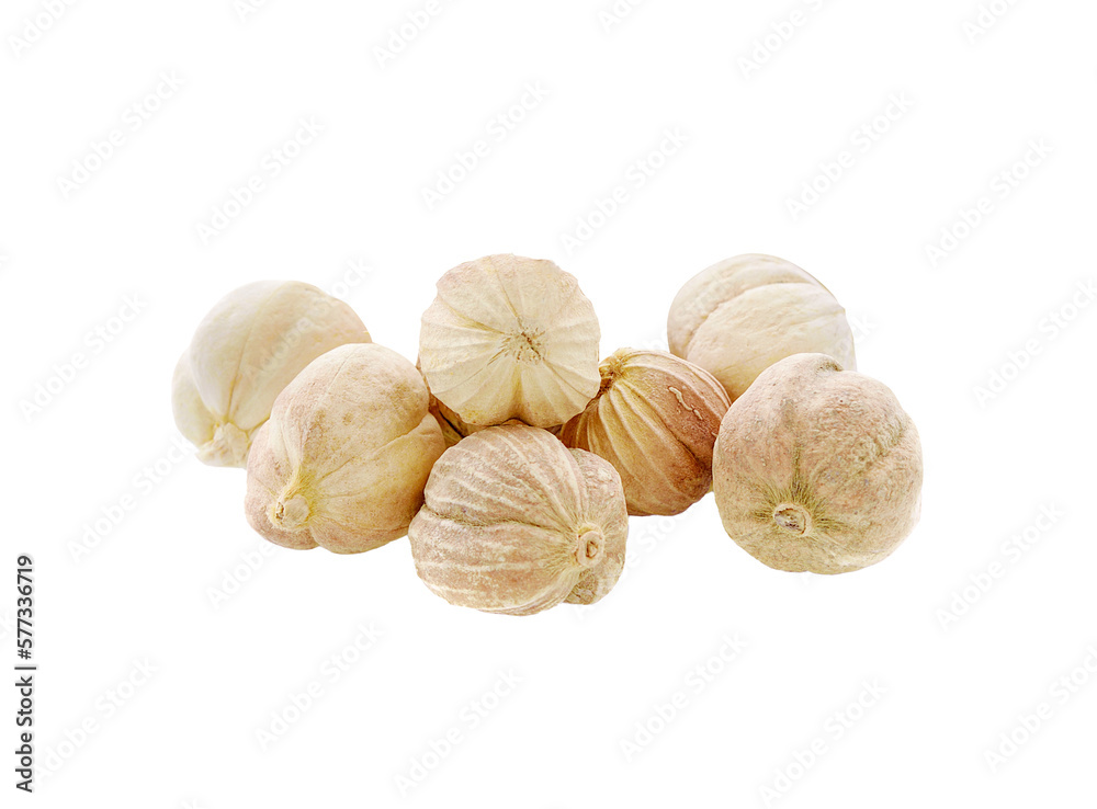 Siam Cardamom isolated on transparent png Siam Cardamom isolated on transparent png