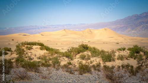 Dunes de Mesquite flat sand dans la vallée de la mort
