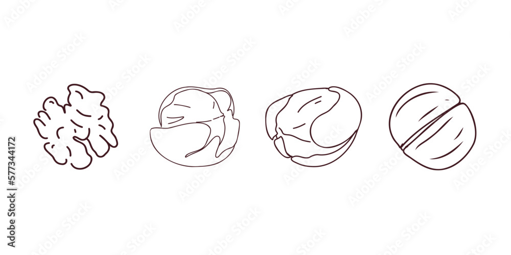Doodle set of walnuts. Vector illustration Doodle set of walnuts. Vector illustration