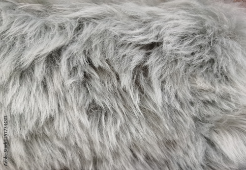 top view of fur Fur pattern background. Texture of shag. Wool texture. Imitation fur close-up.