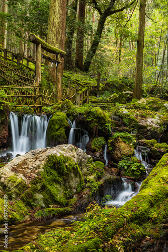 日本 福井県三方上中郡若狭町にあるの若狭瓜割名水公園の森中にある瓜割の滝