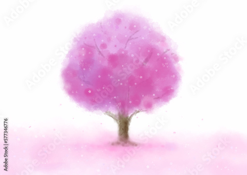 一本の桜の木と、花の絨毯