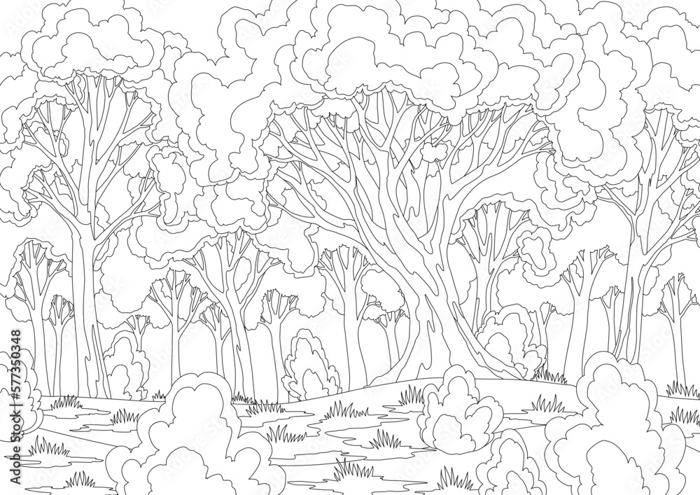 Fototapeta premium Cartoon forest landscape with deciduous trees, grass, bushes coloring style. Daytime scenery summer or spring, natural scene. Cartoon strong tree trunks. Vector wild flora