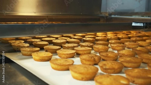 Industrial food factory or bakery, cookies on automated production line or conveyor belt, 