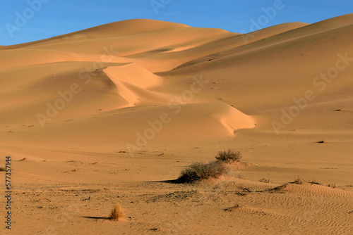Fototapeta Naklejka Na Ścianę i Meble -  SAHARA DESERT LANDSCAPE AROUND DJANET OASIS IN ALGERIA