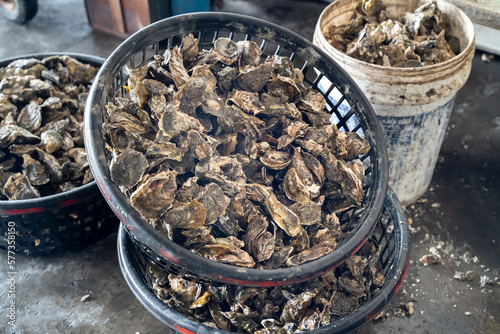 Grilled fresh oyster in Taiwan, famous street food. photo