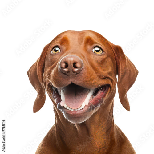 Smiles happy dog portrait. Generative AI.