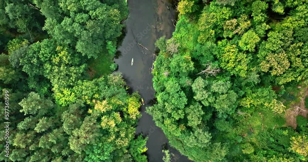 Aerial view of sport in summer. Kayaking on river, Poland