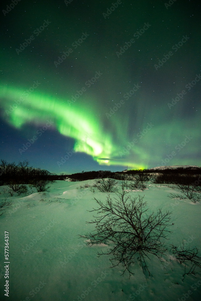 imagen de un paisaje nocturno nevado con una aurora boreal en el cielo de Islandia 