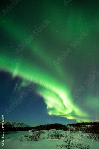 imagen de un paisaje nocturno nevado, con montañas de fondo, y una aurora boreal sobre el cielo de Islandia 