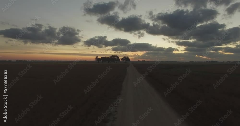 Flying over grassy field and dirt road towards a group of trees on southern farm at sunrise. 4k Drone establishing shot. Flying over grassy field and dirt road towards a group of trees on southern farm at sunrise. 4k Drone establishing shot.