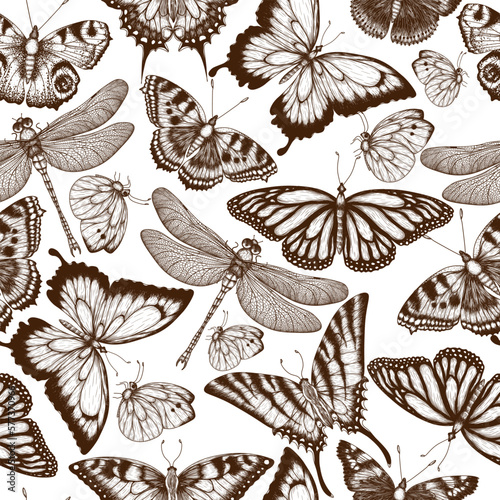 Seamless vector pattern with insects. Monarch butterfly, hive butterfly, peacock butterfly, butterfly swallowtail, pieridae, butterflies admiral, podalirius, papilio, dragonfly in engraving style