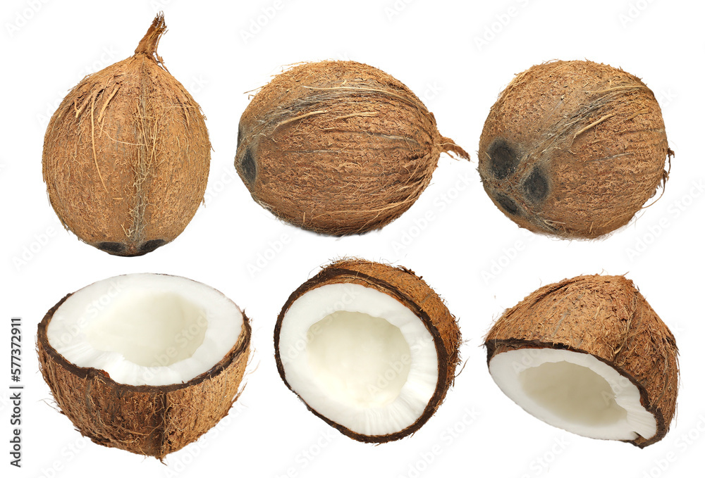 Set of fresh whole and half coconut composition shoot in above view and sideview isolated on white background , using for creative tropical coco base ingredient advertising design. Set of fresh whole and half coconut composition shoot in above view and sideview isolated on white background , using for creative tropical coco base ingredient advertising design.