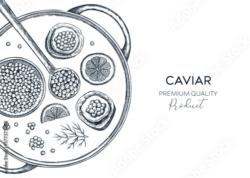 Hand drawn seafood platter in engraved style. Canned caviar, red caviar canape, lemons - hand drawn food sketches for restaurant menu or finger food party. Sea delicacy vector background design
