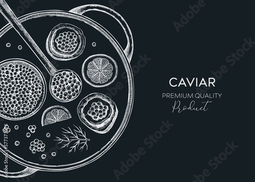 Hand drawn seafood platter in collage style. Canned caviar, red caviar canape, lemons - hand drawn food sketches for restaurant menu or finger food party. Sea delicacy vector background design