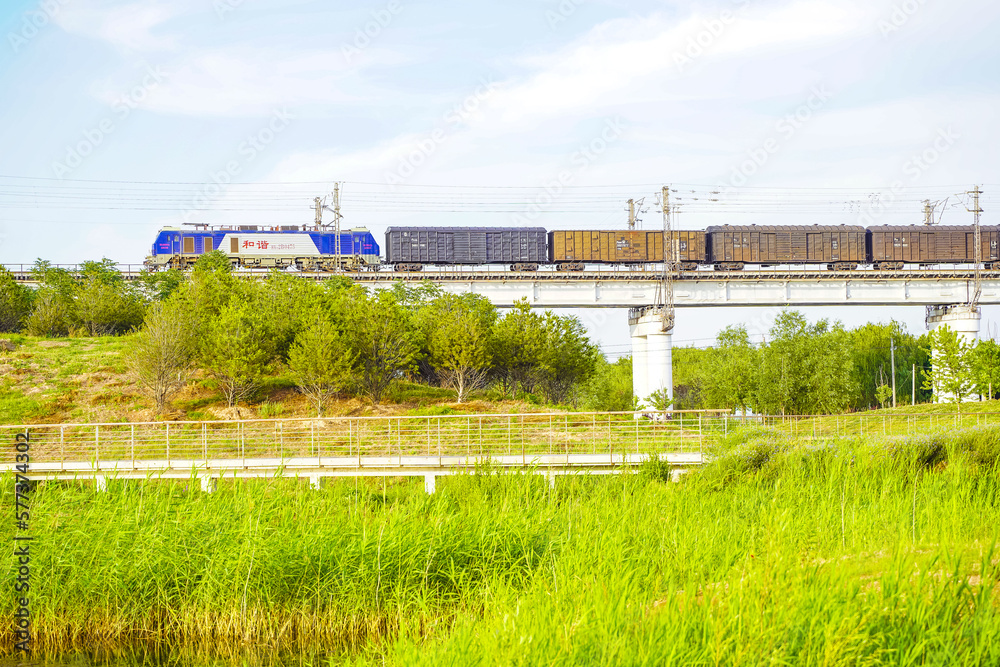 Meadows of flowers in the wild and trains on viaducts Meadows of flowers in the wild and trains on viaducts
