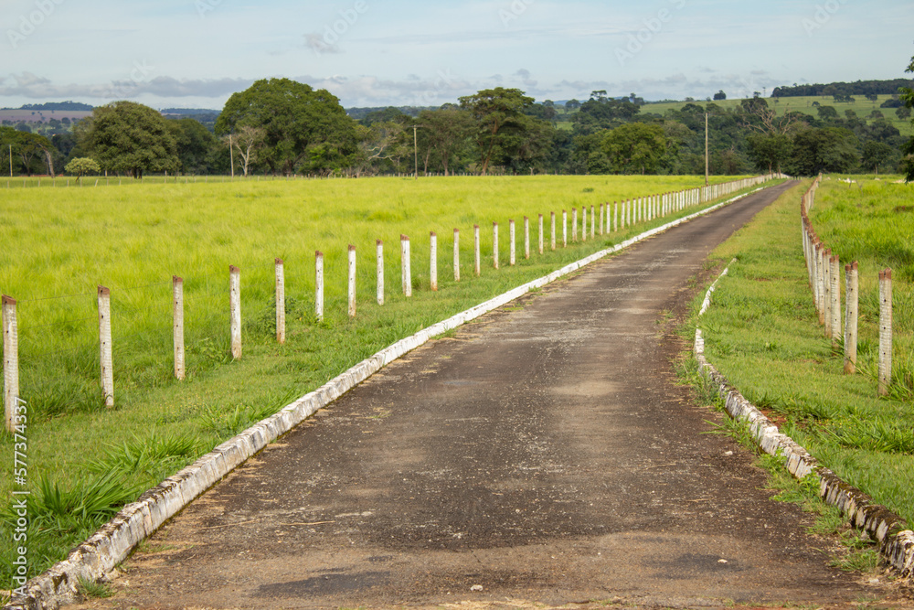 Uma estrada de concreto feita no campo, levando a uma fazenda, com uma cerca e um pasto verde 
 e fresco ao lado.
