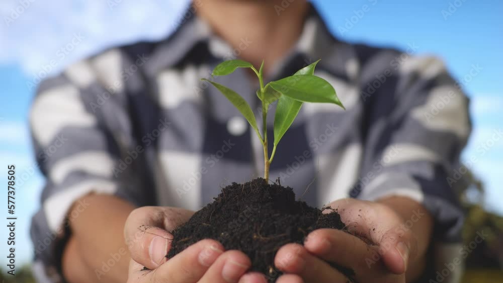 Close Up Of A Male Farmer Showing Black Dirt Mud With A Tree Sprout In Hands Crop To The Camera In The Forest
Close Up Of A Male Farmer Showing Black Dirt Mud With A Tree Sprout In Hands Crop To The Camera In The Forest