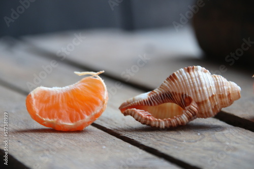 Summer time concept. Seashell and Slice of tangerine on vintage table.