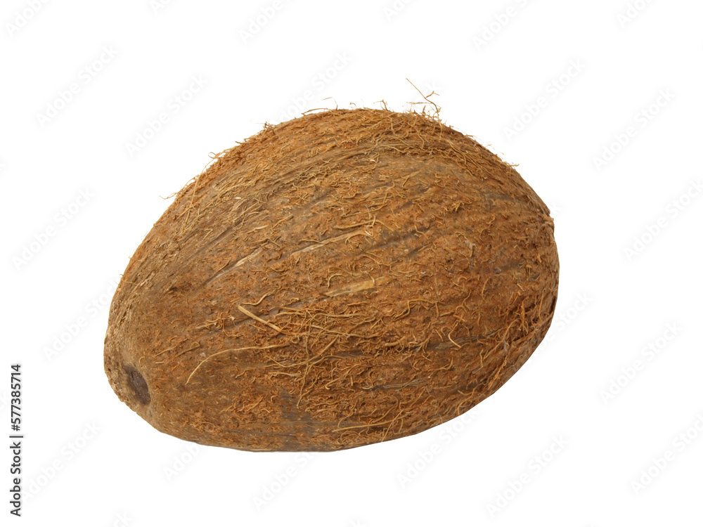 Coconut isolated Coconut isolated