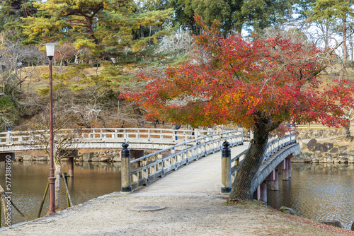 日本　奈良県奈良市の奈良公園にある鷺池に建つ浮見堂に架かる橋と紅葉した木