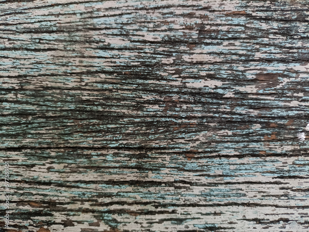 Wooden background or texture.Close Up of Bark on Tree Stump. Old tree. Wooden background or texture.Close Up of Bark on Tree Stump. Old tree.