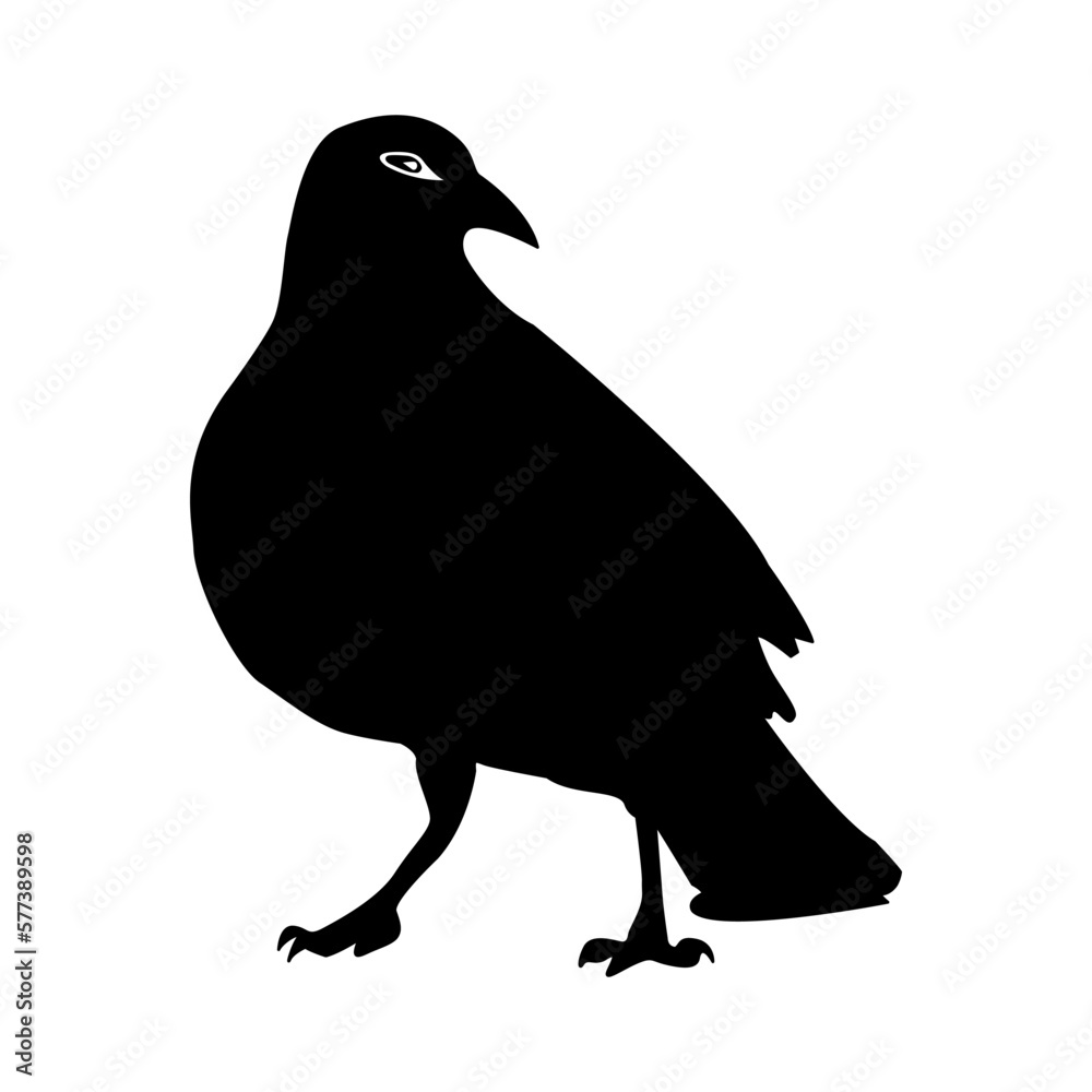 Obraz premium Black raven on a white background. Vector illustration.
