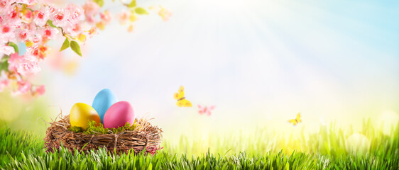 Easter composition with colorful Easter eggs in nest on green grass. Beautiful pink and white cherry flowers. Sunny spring background.