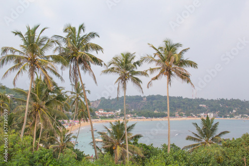 Beautiful view of the tropical beach of Sri Lanka on a sunny day © marinadatsenko