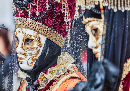Portrait of a Disguised Person - Venice Carnival
