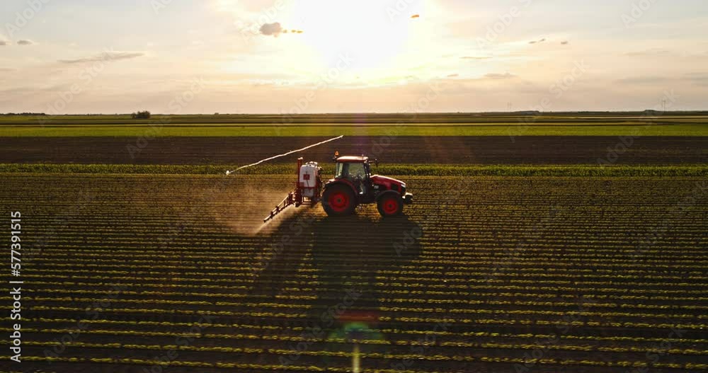 Farmer in tractor spraying industrial green soy bean farm field