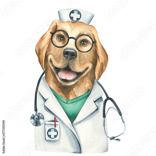 Portrait of a golden retriever dog in a doctor's costume. Watercolor illustration. An isolated object from the VETERINARY collection. For the design and design of advertising clinics, pharmacies.