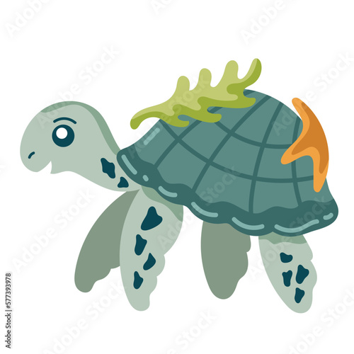 cute turtle sealife animal